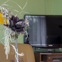 Польшадағы пансионат Краковта тұру